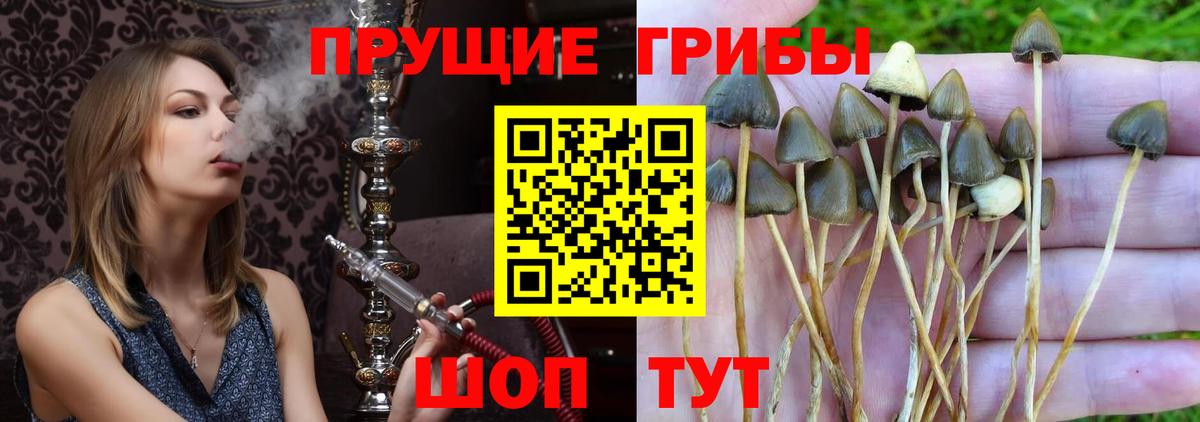 Галлюциногенные грибы Magic Shrooms Минусинск