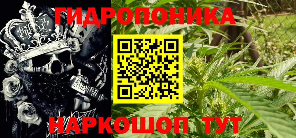 Конопля MAZAR  Вход с VPN  Конопля сатива  МАРИХУАНА сатива  Минусинск 